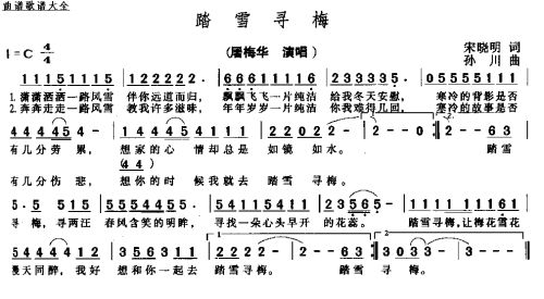 踏雪寻梅