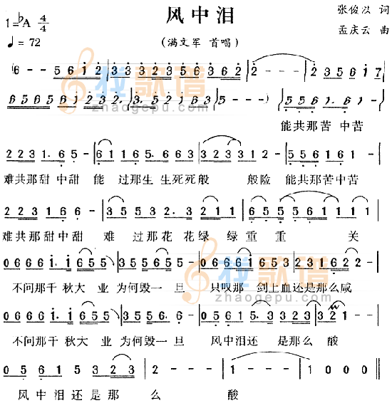 风中泪