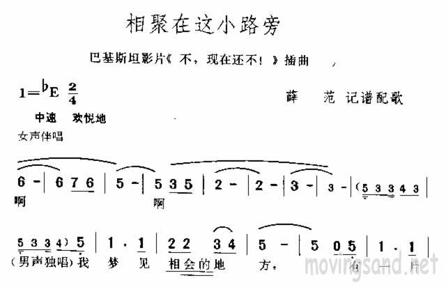 相聚在这小路旁