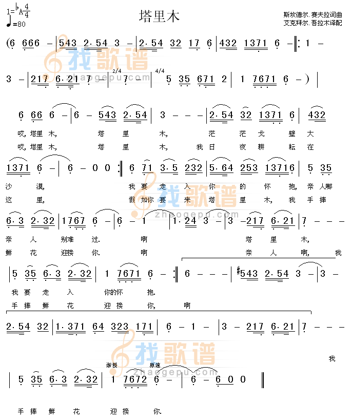 塔里木