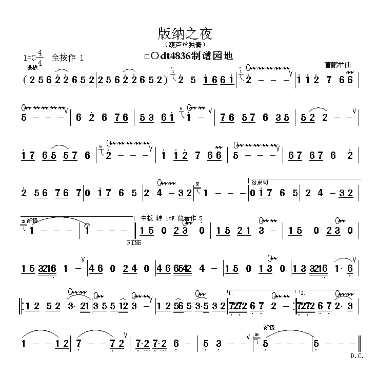 版纳之夜