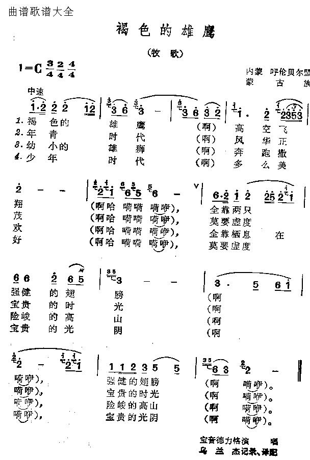 褐色的雄鹰