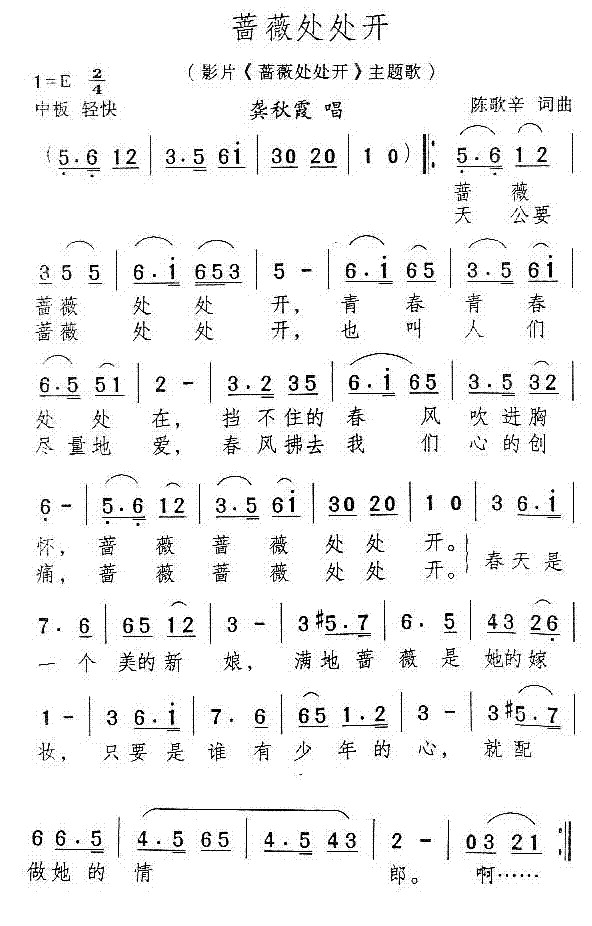 蔷薇处处开