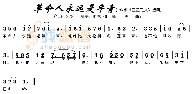 革命人永远是年轻