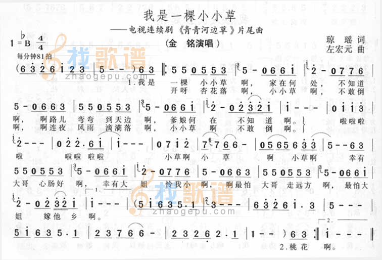 我是一棵小小草
