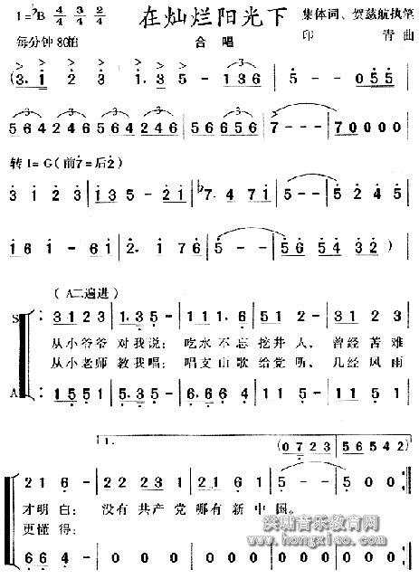 在灿烂阳光下