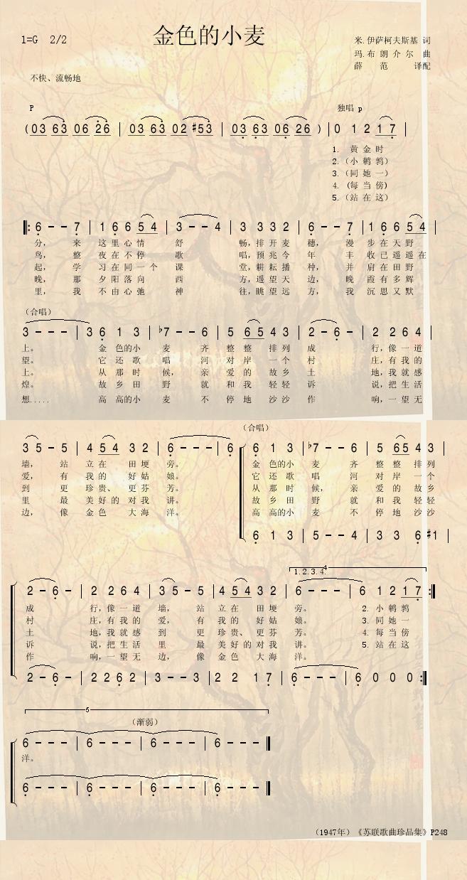 金色的小麦