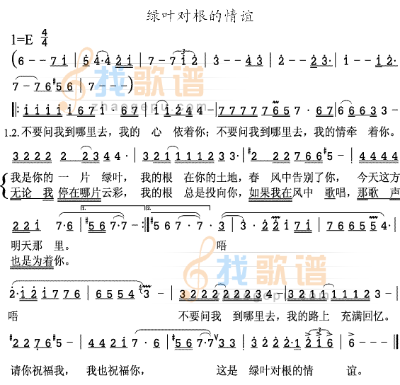 绿叶对根的情谊