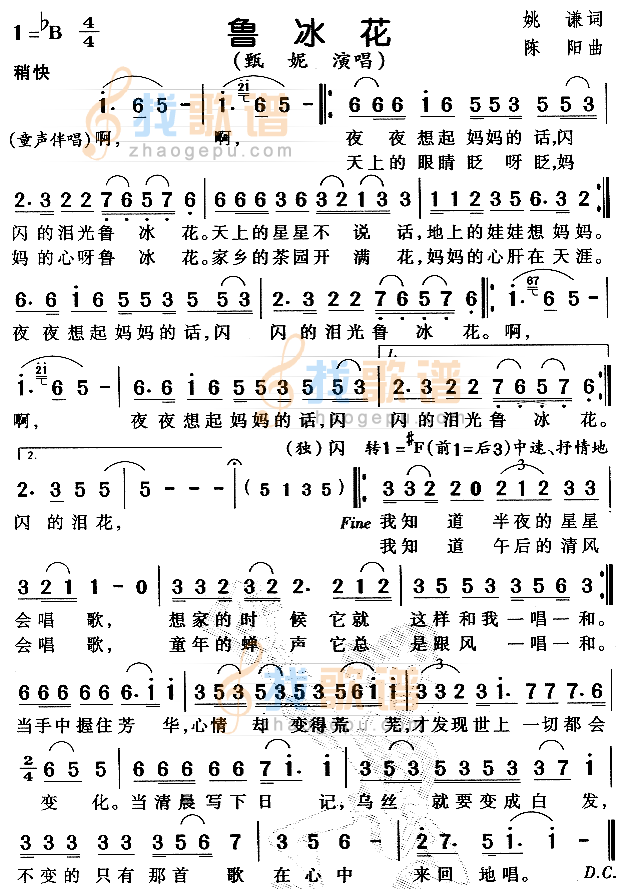 鲁冰花