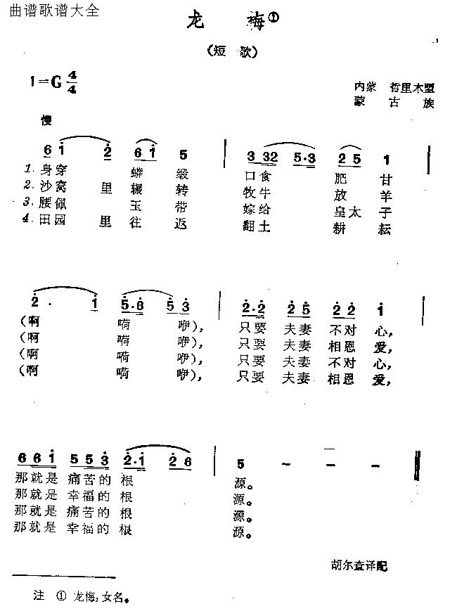 龙梅