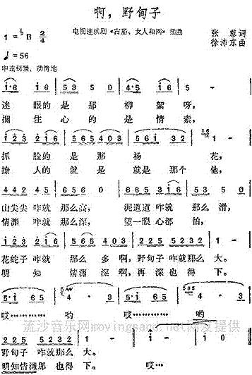 啊，野甸子(电视剧古船·女人和网插曲)
