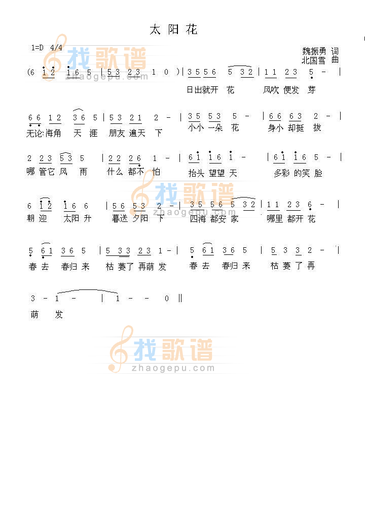 太阳花