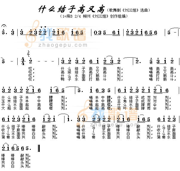 什么结子高又高