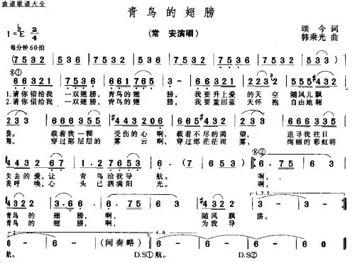 青岛的翅膀