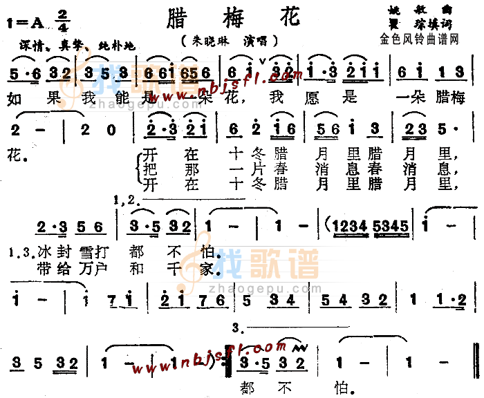 腊梅花