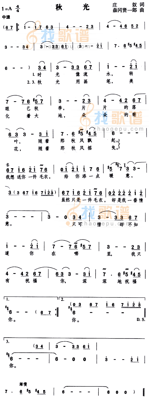秋光