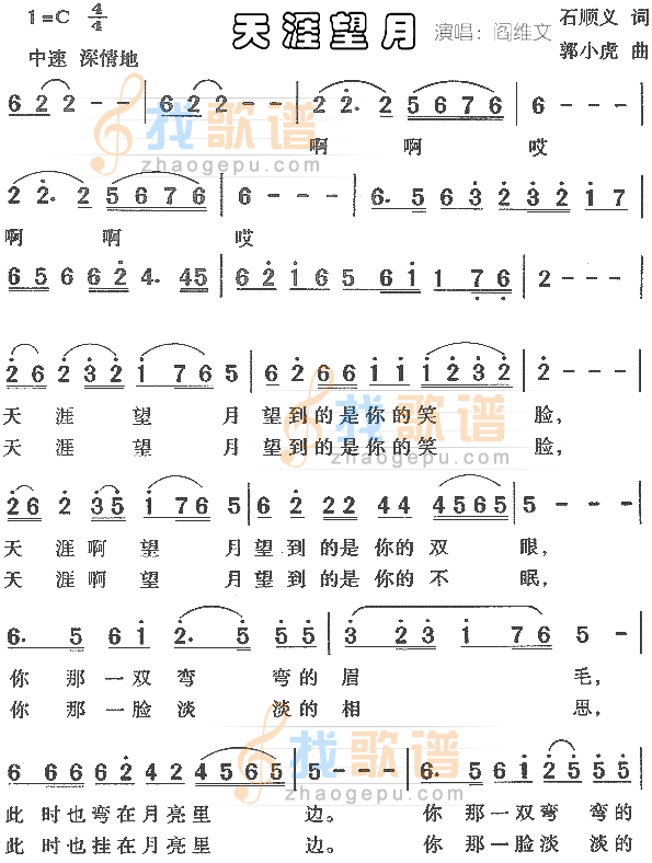 天涯望月