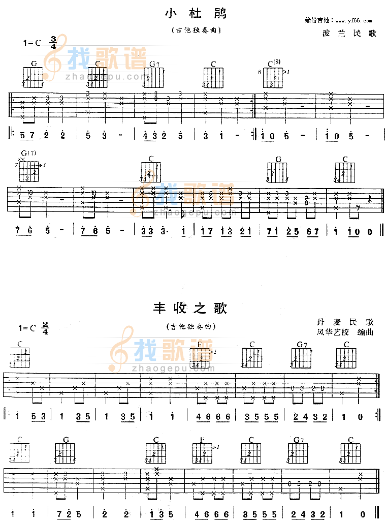 小杜鹃