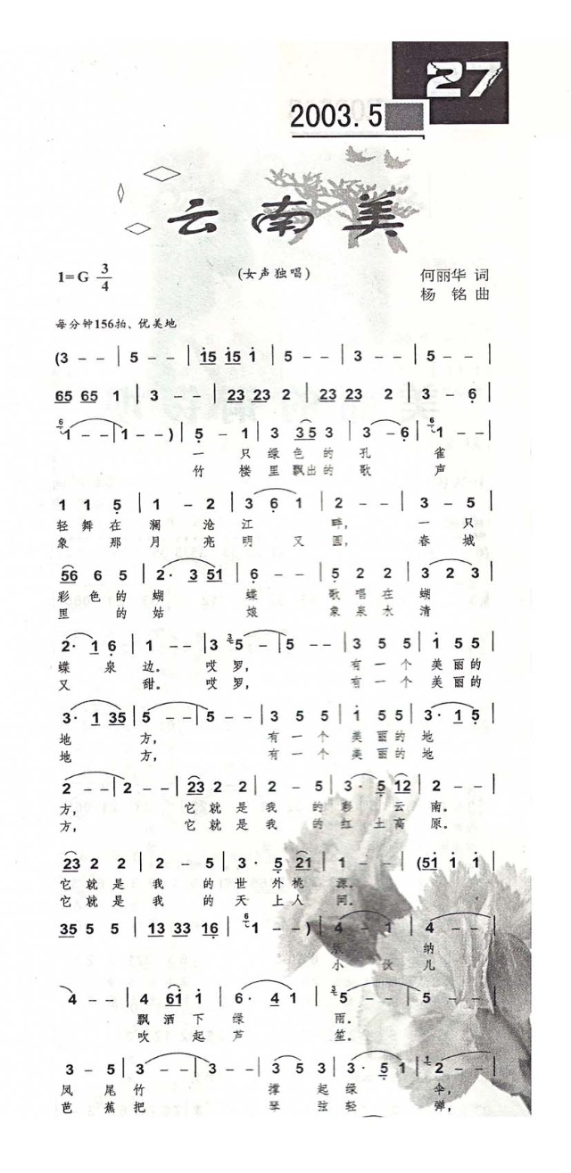 云南美