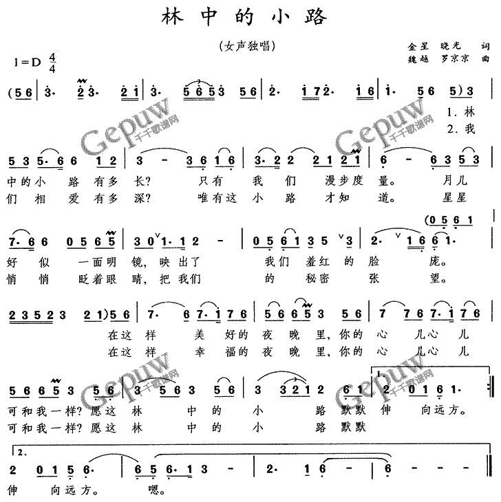 林中的小路