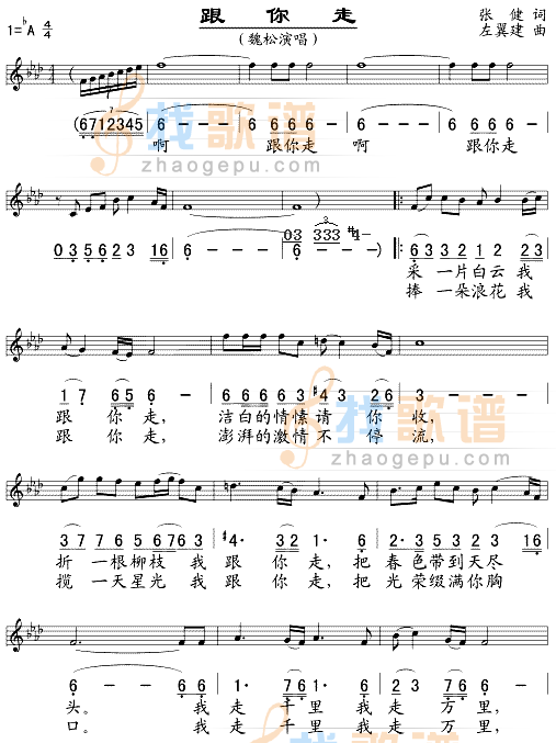 跟你走(/对照)