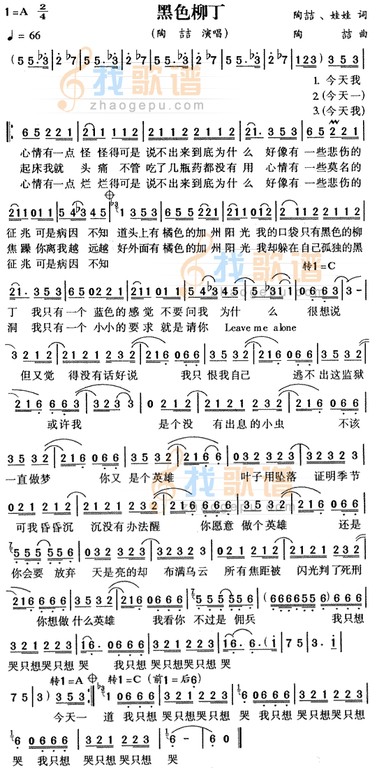 黑色柳丁