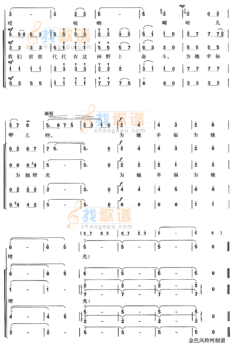 在希望的田野上