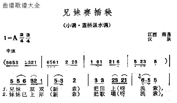 兄妹赛插秧