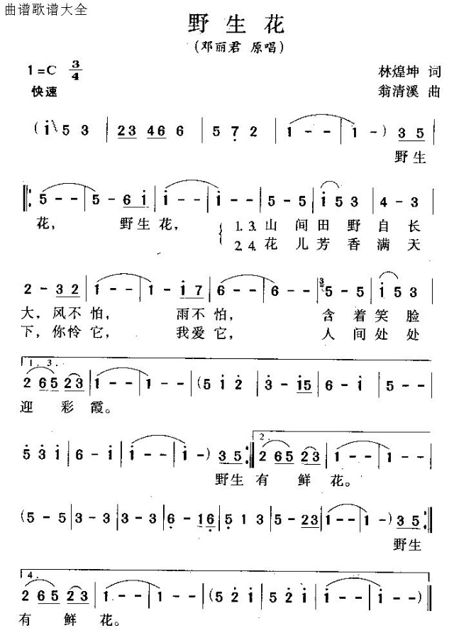 野生花