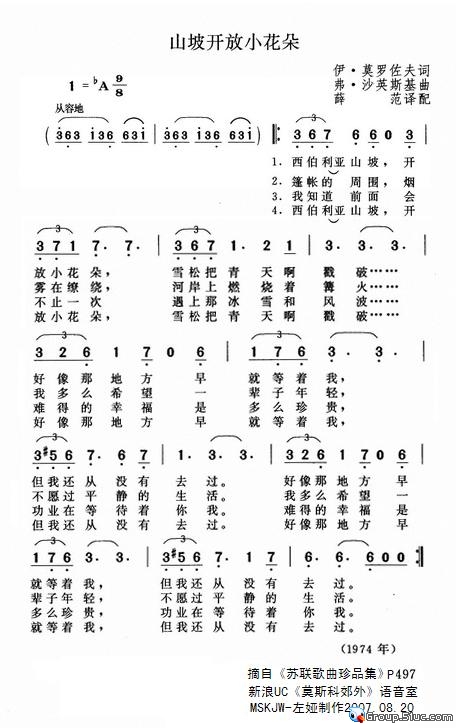 山坡开放小花朵