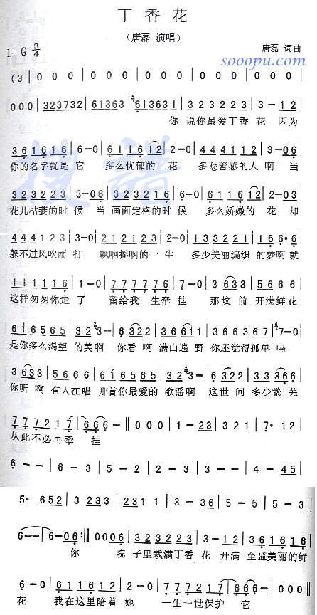 丁香花
