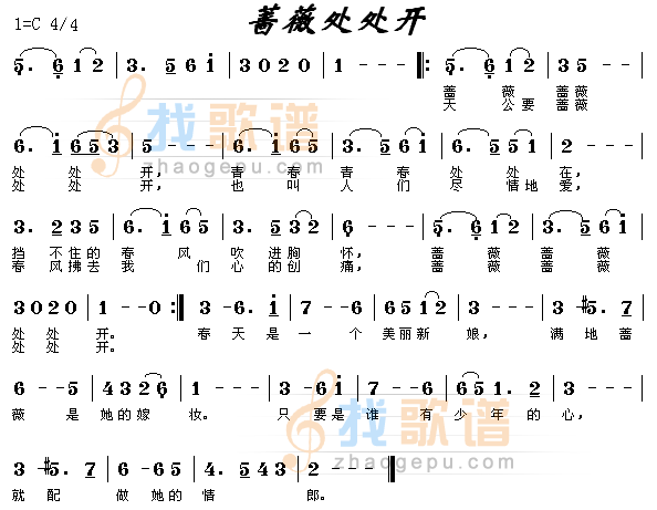 蔷薇处处开