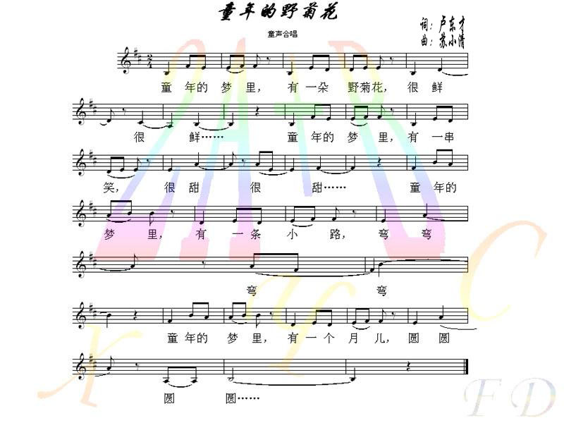 童年的野菊花