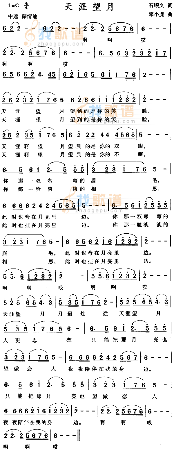 天涯望月