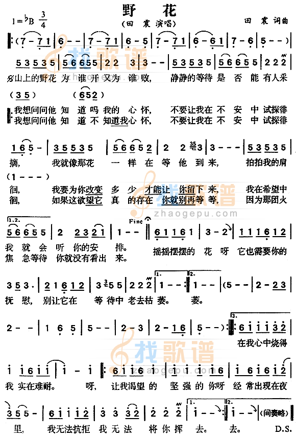 野花