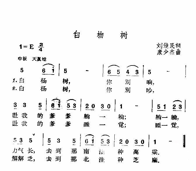 白杨树