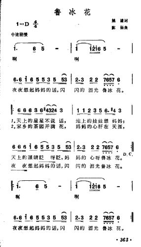 鲁冰花