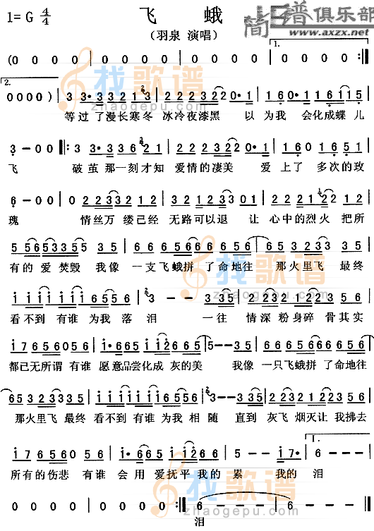 飞蛾