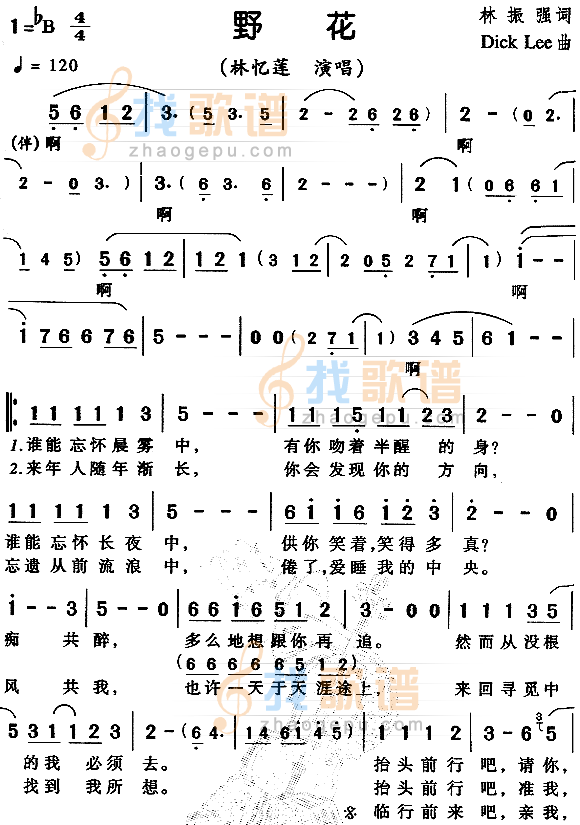 野花（粤语）