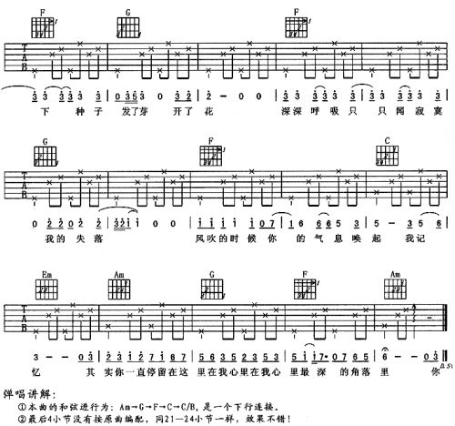 种子