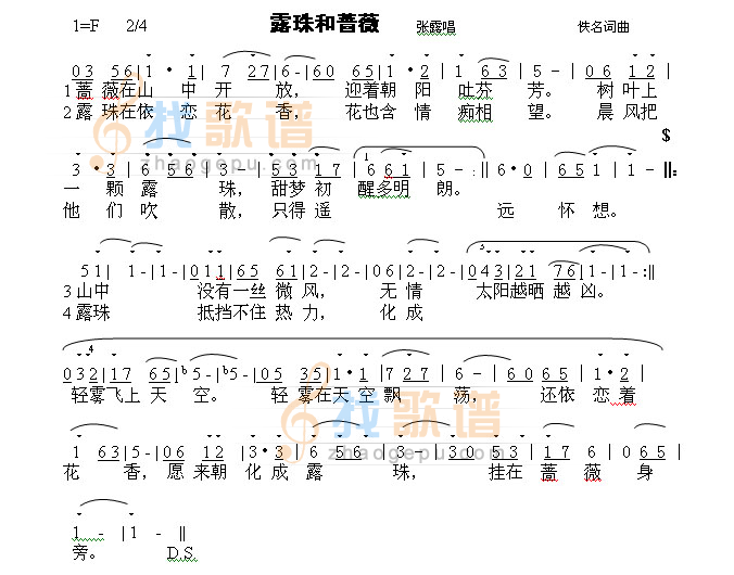 露珠与蔷薇