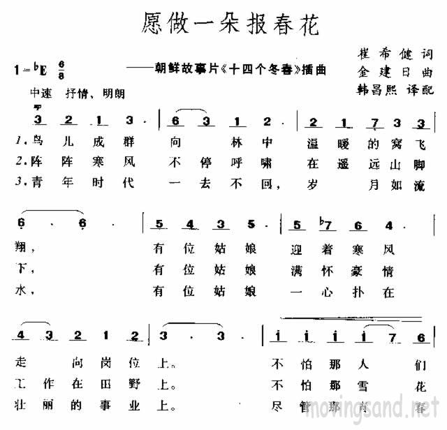 愿做一朵报春花