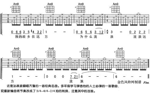 橄榄树