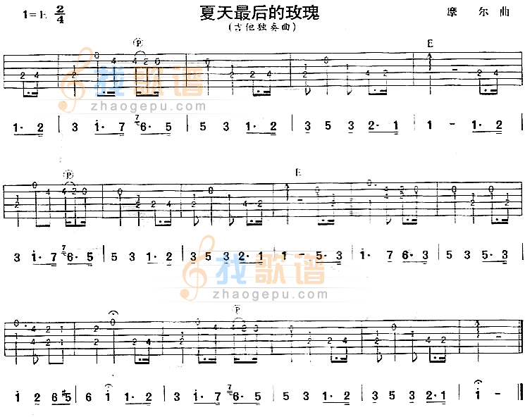 夏天最后的玫瑰(独奏曲)