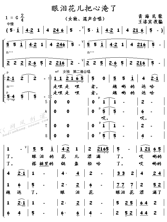 眼泪花儿把心淹了（青海）