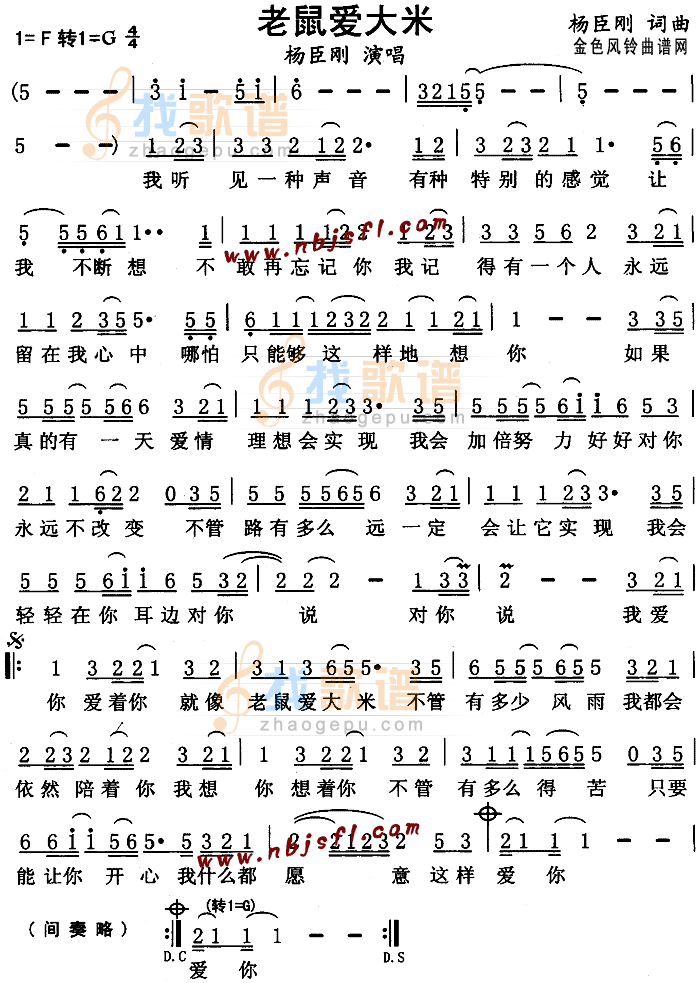 老鼠爱大米