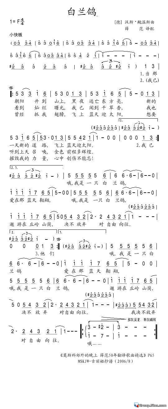 白兰鸽