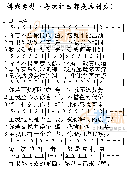 炼我愈精