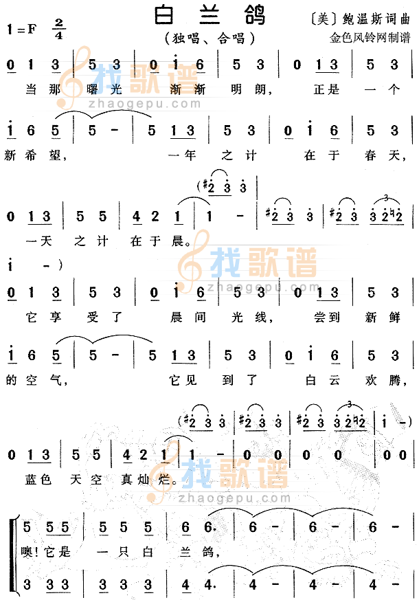 白兰鸽（儿童歌）