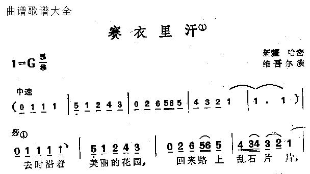 赛衣里汗